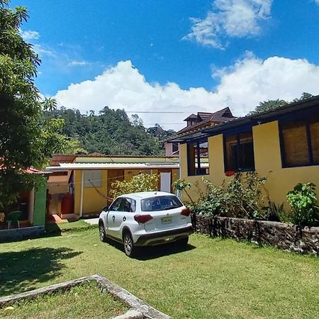Las Avispas Conrado'S Guesthouse B&B מראה חיצוני תמונה