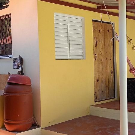 Las Avispas Conrado'S Guesthouse B&B מראה חיצוני תמונה