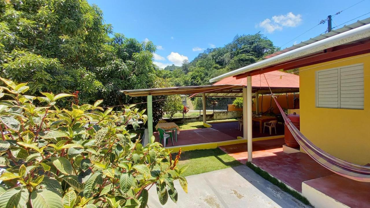 Las Avispas Conrado'S Guesthouse B&B מראה חיצוני תמונה