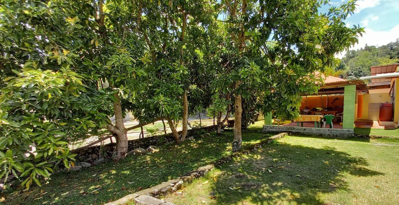 Las Avispas Conrado'S Guesthouse B&B מראה חיצוני תמונה