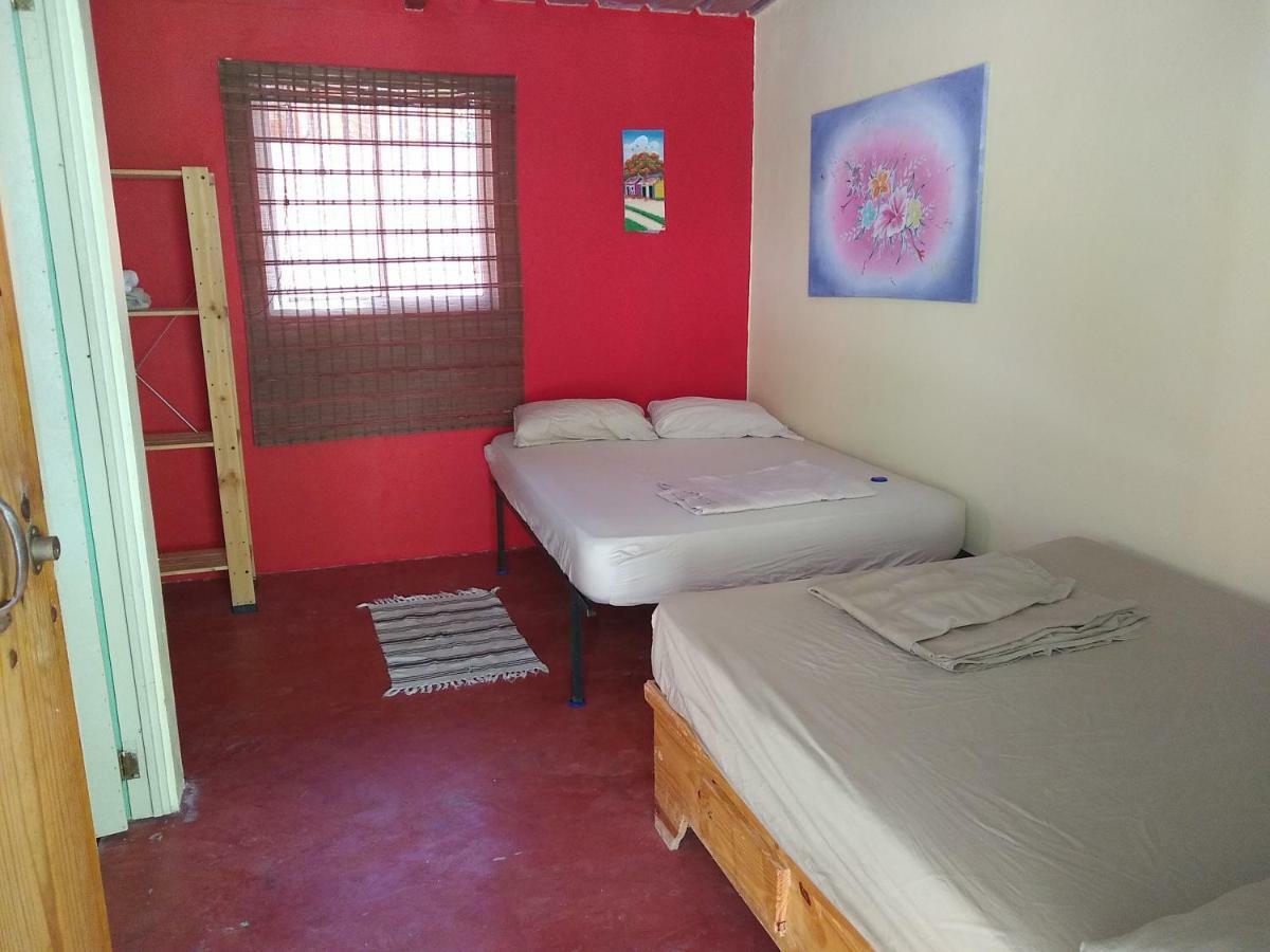 Las Avispas Conrado'S Guesthouse B&B מראה חיצוני תמונה